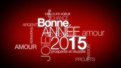 des Hermines d'Armor - BONNE ANNEE 2015