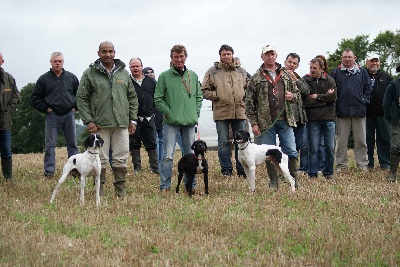 des Hermines d'Armor - TAN BRETAGNE 2012