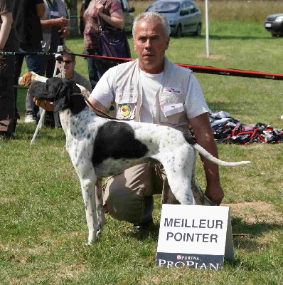 des Hermines d'Armor - Nationale d'élevage 2010 à RIEC SUR BELON (29)
