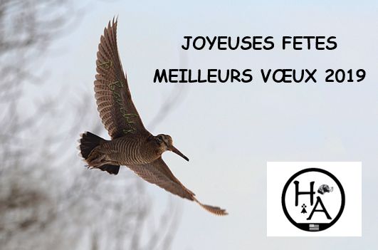 des Hermines d'Armor - Meilleurs voeux 2019